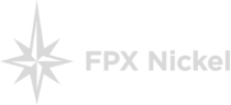 FPX Nickel logo